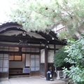 客殿 客殿